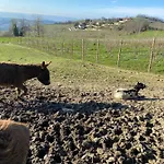 I 4 Bimbi Borgomale