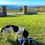 I 4 Bimbi Borgomale