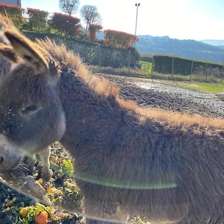 I 4 Bimbi דירה Borgomale