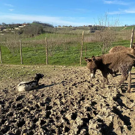 I 4 Bimbi דירה *