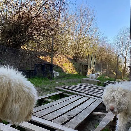 דירה I 4 Bimbi *