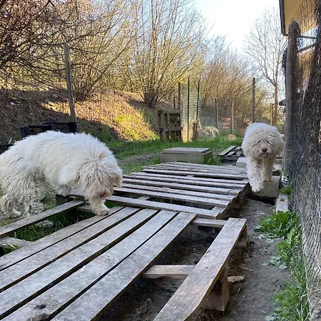 I 4 Bimbi דירה *