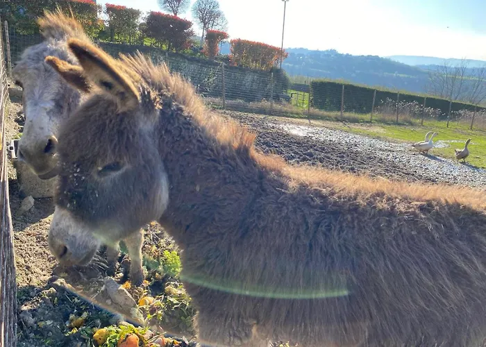 I 4 Bimbi Apartment Borgomale