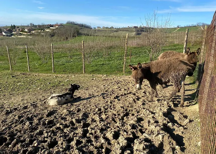 I 4 Bimbi Apartment *