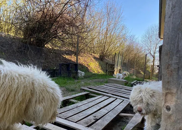 Apartment I 4 Bimbi *