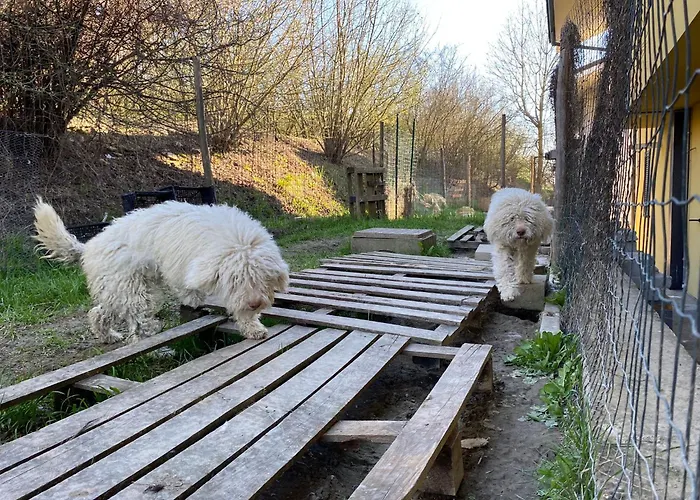 I 4 Bimbi Apartment *