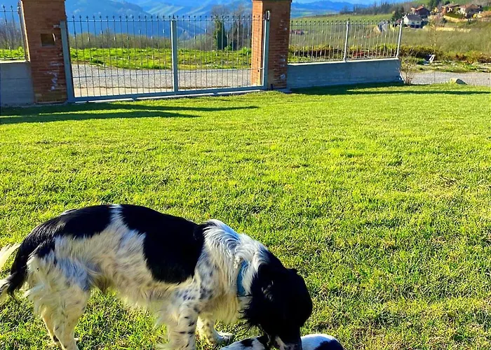 I 4 Bimbi Borgomale